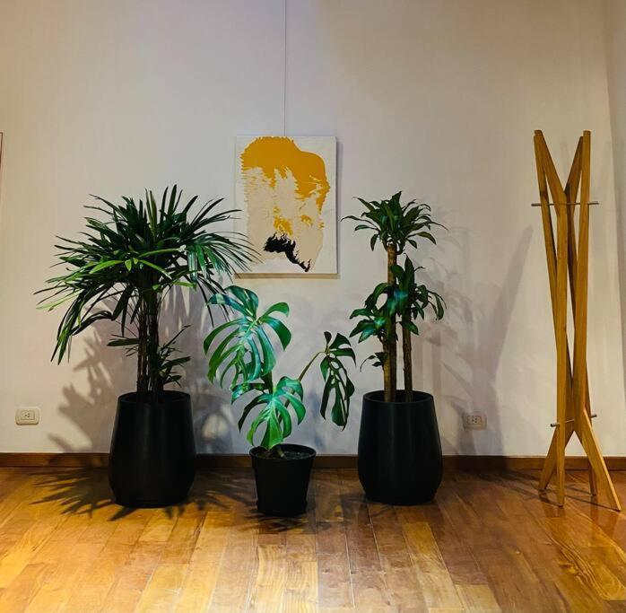 Apartamento Arts Loft, A Estrenar! Ciudad Autónoma de Buenos Aires Exterior foto